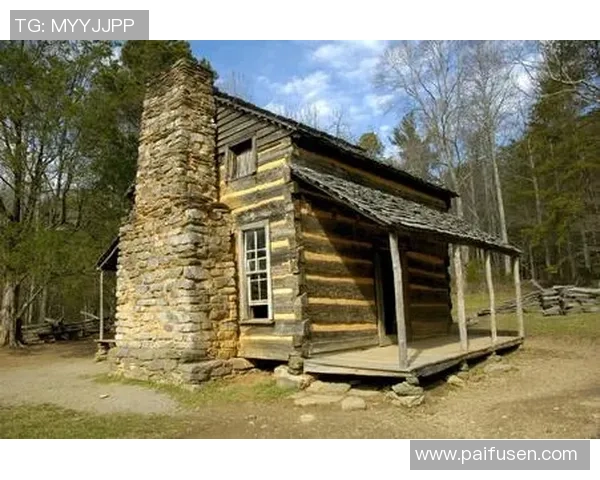 卡德科夫是谁足球领域的神秘球星背后故事揭密